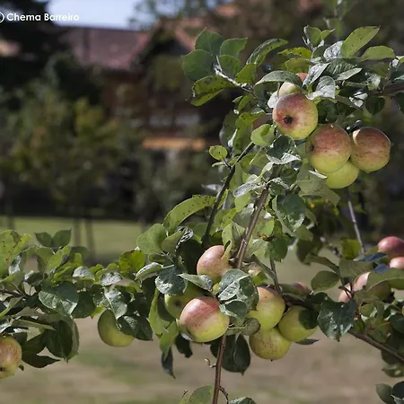 Séjour à la campagne La Casona De